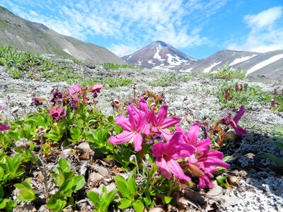 Mountains landscape nature photo