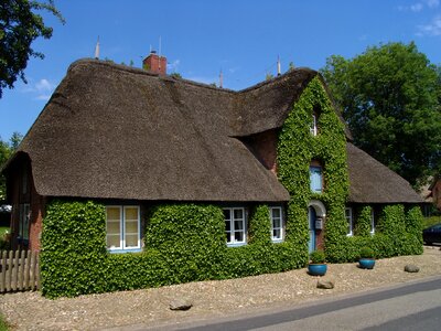 Thatched roof thatched mecklenburg photo