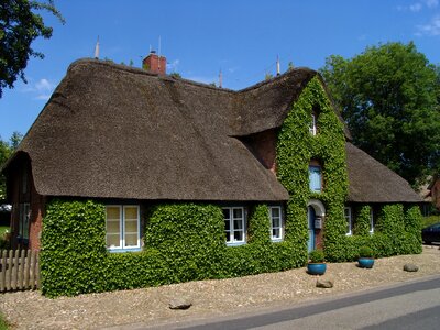 Thatched roof thatched mecklenburg