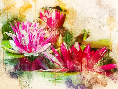 Blossom aquatic plant