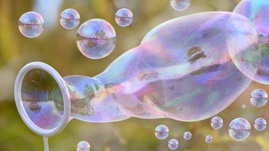 Nature clear bubble photo