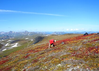 Tundra autumn road