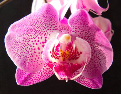 Exotic nature bright