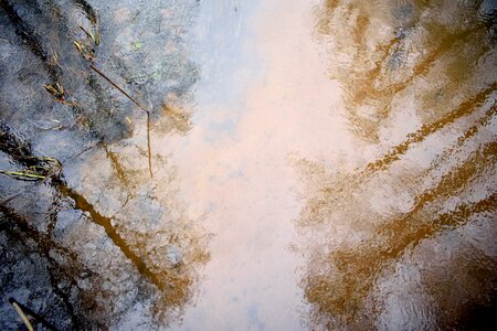 Water reflection nature