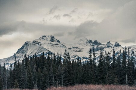Summit peaks forests photo