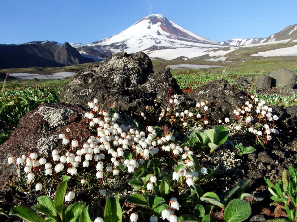 Mountains landscape nature
