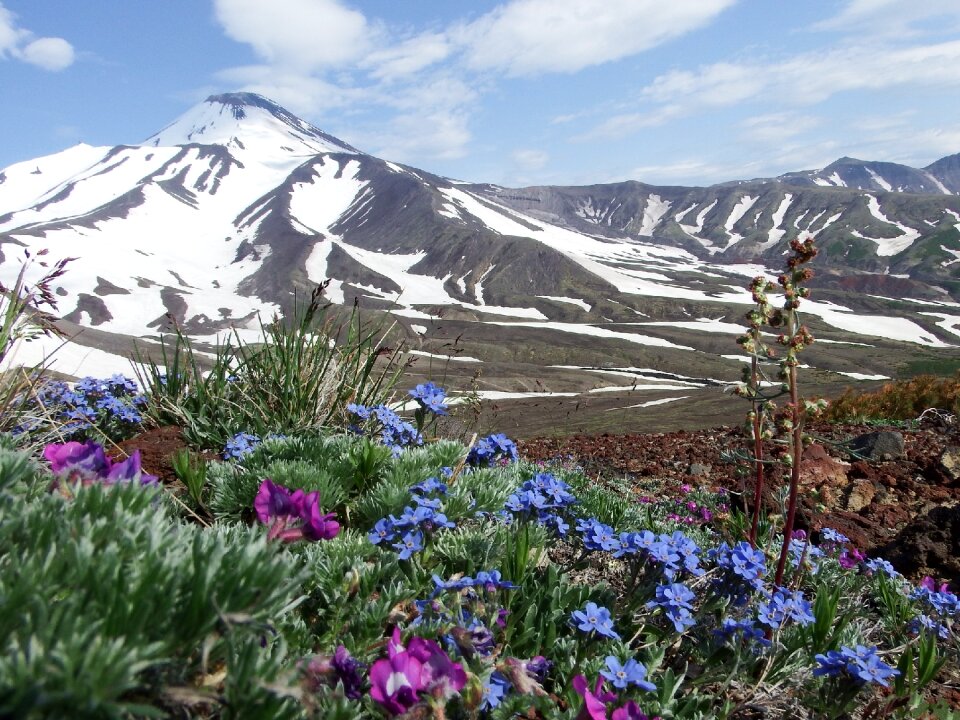 Mountains landscape nature