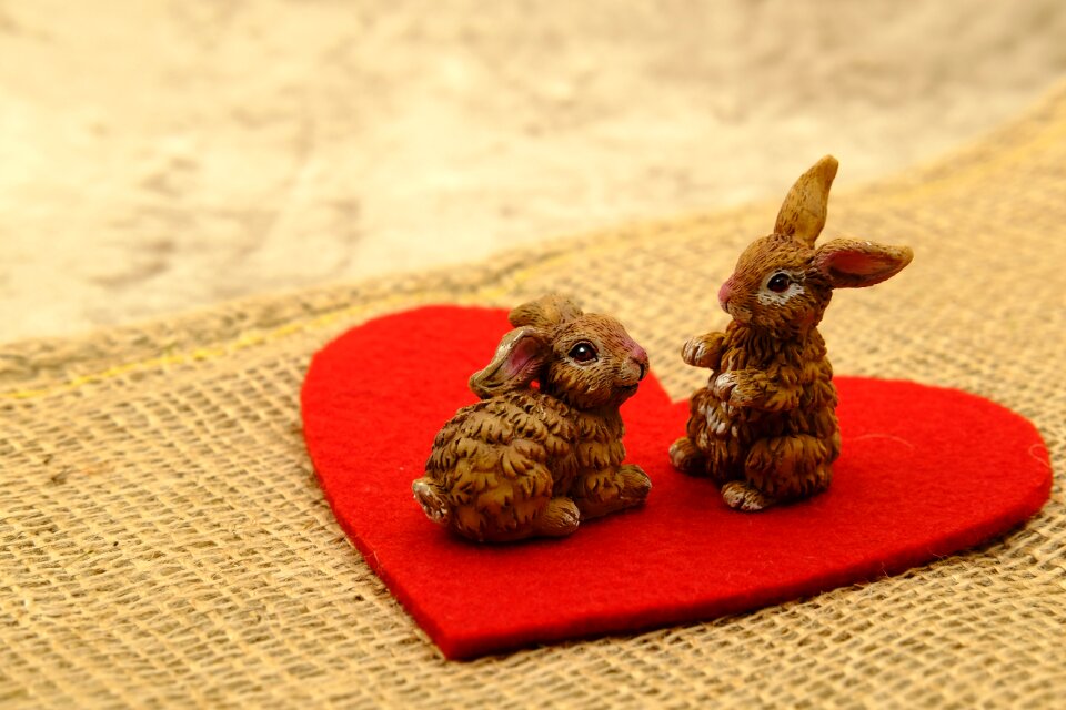 Love heart affection