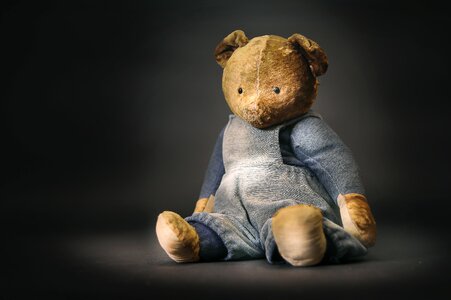 Plush the lone gift