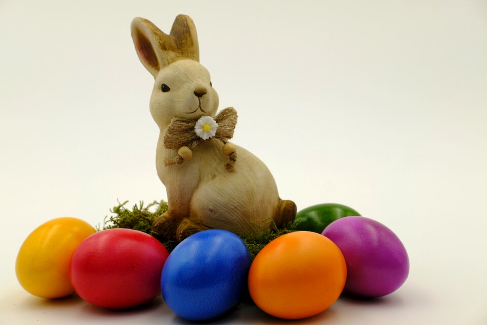 Easter celebration hare egg