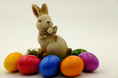 Easter celebration hare egg photo
