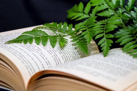Learn education study