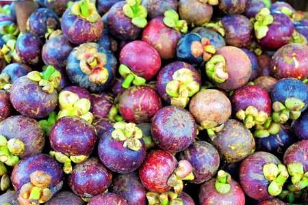 Grow healthy many