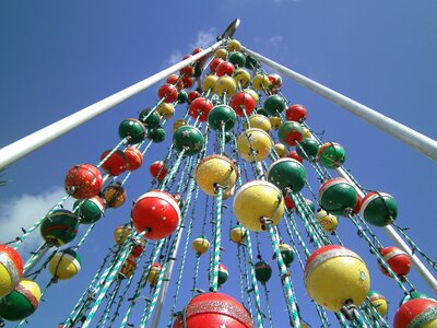 Christmas florida celebrate