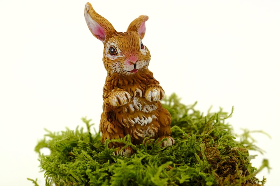 Hare osterkarte postcard