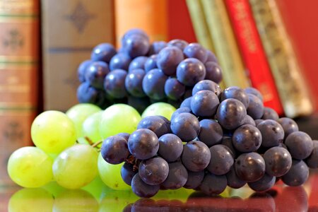 Vines bunch of grapes violet