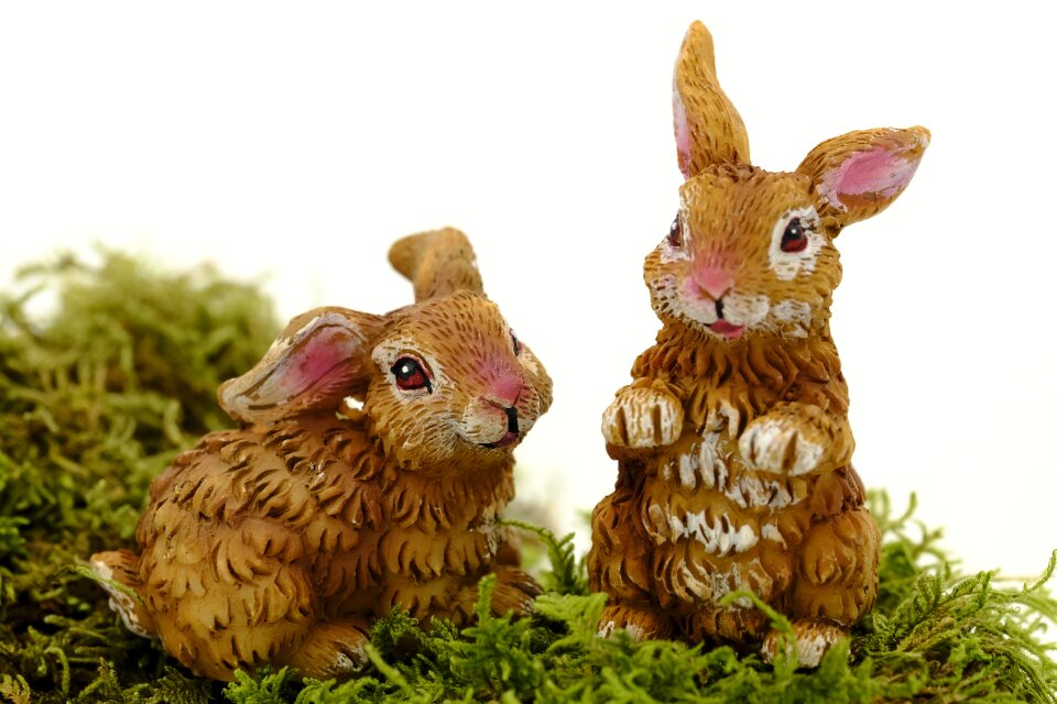 Hare osterkarte postcard
