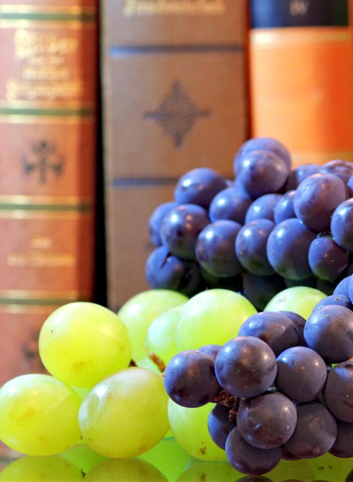 Vines bunch of grapes violet