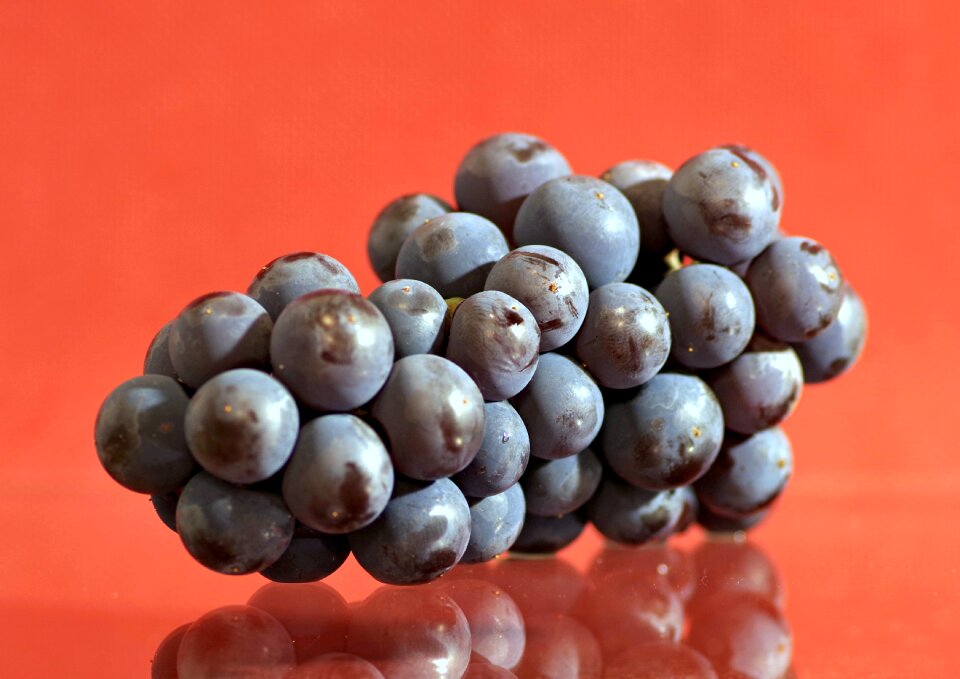 Vines bunch of grapes violet