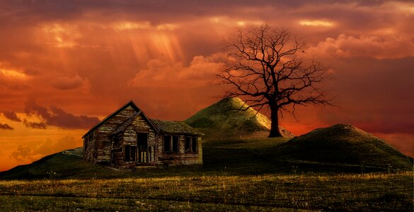 Dusk evening wallpaper