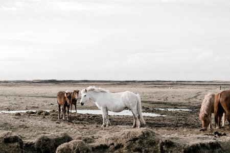 Field farm outdoor photo