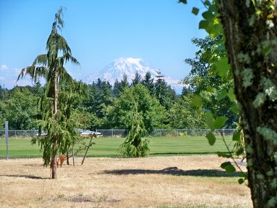 Mount rainier park