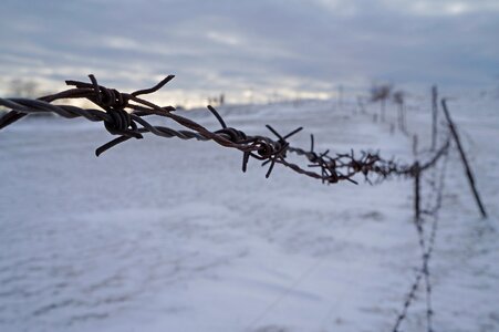 Nature snow barbed wire photo