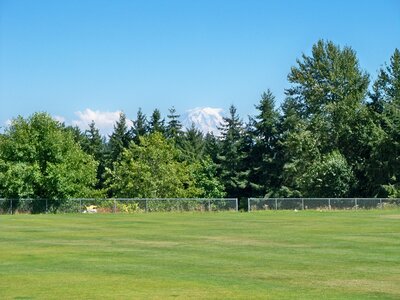 Mountain mount rainier