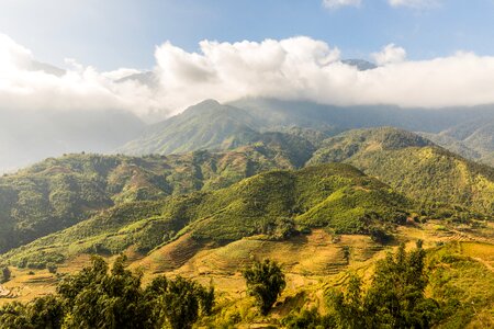 Rice rice terraces terrace fields