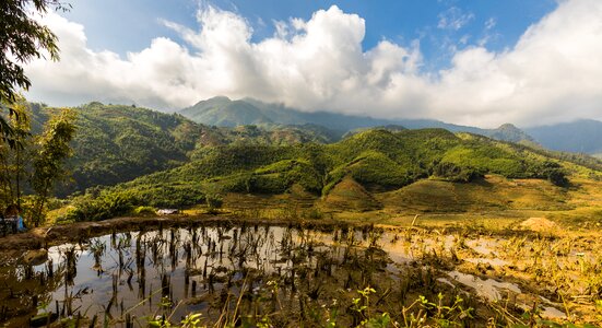 Rice rice terraces terrace fields