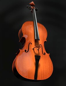 Wood instrument classical music photo