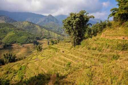 Mountain sky sapa photo