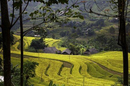 Kathy step hoangsuphi
