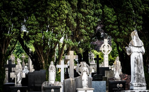 Cemetery cross celtic