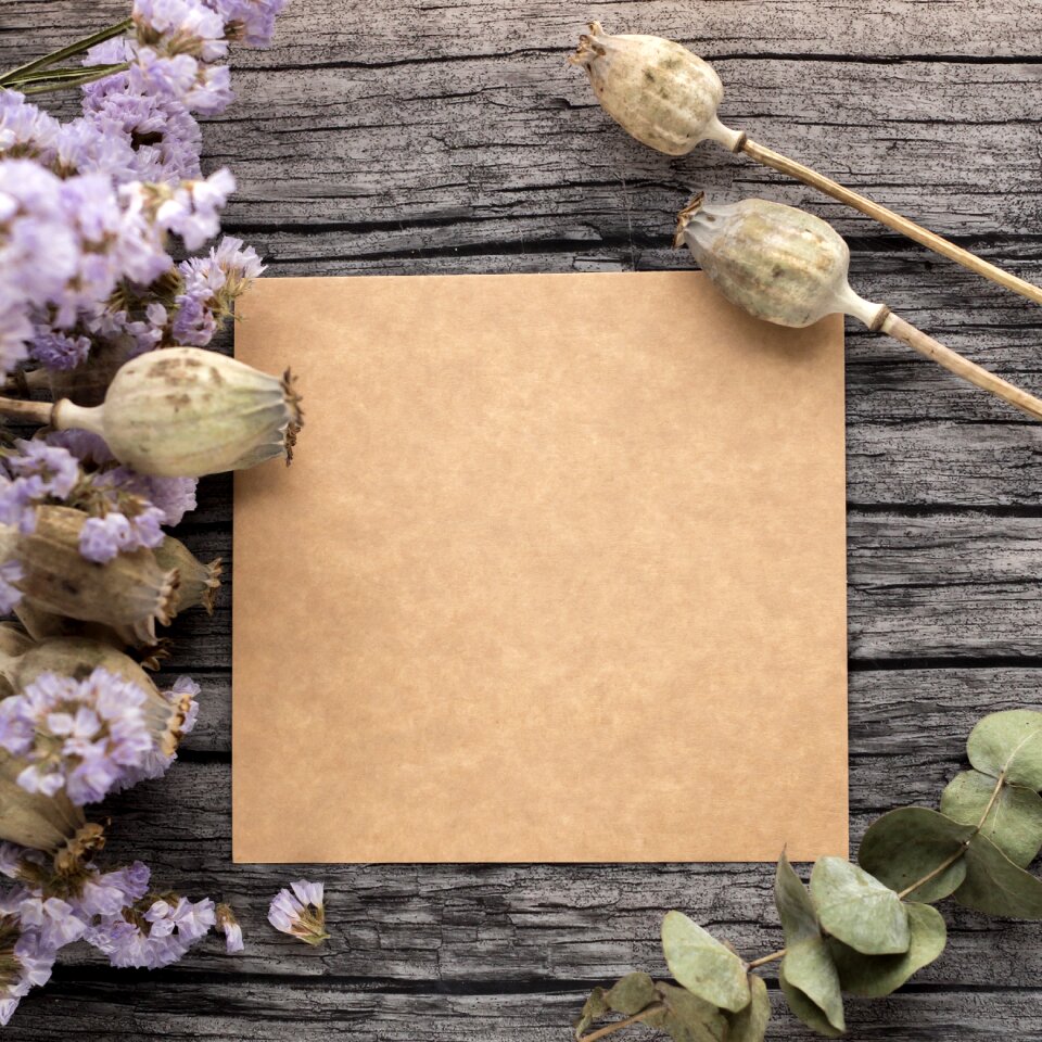 Dried flowers flowers tree