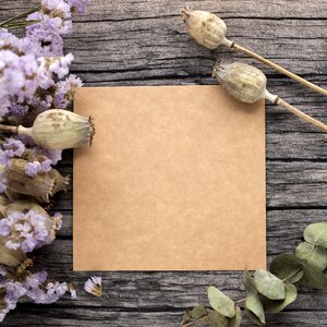 Dried flowers flowers tree