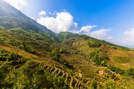 Rice rice terraces terrace fields photo