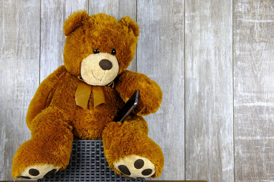 Phone smartphone teddy