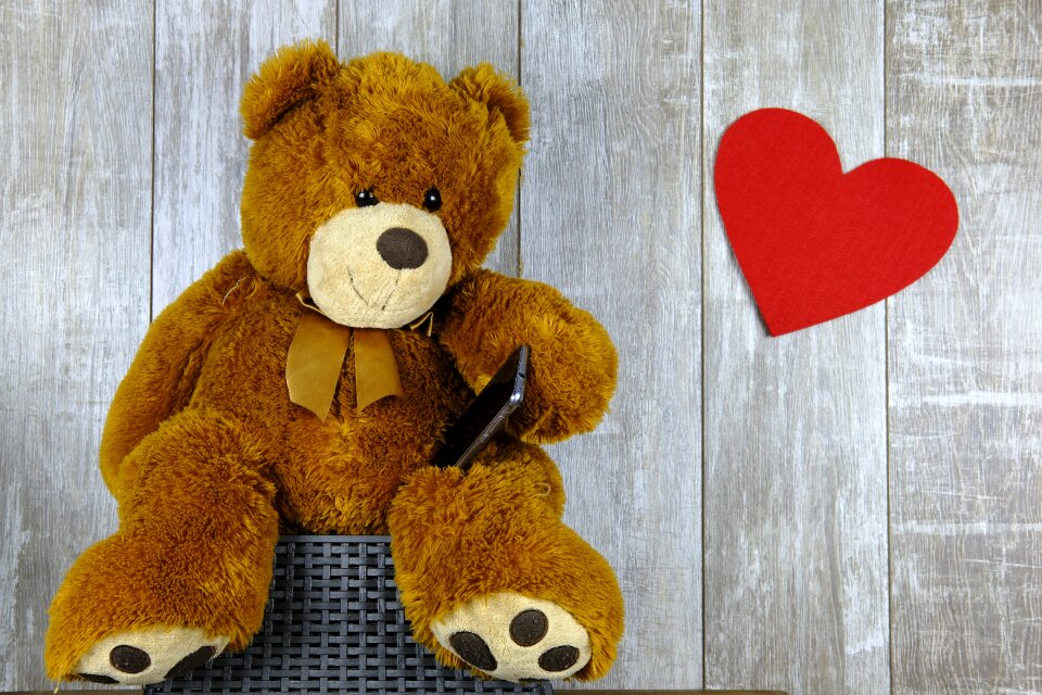 Phone smartphone teddy