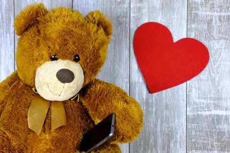 Phone smartphone teddy