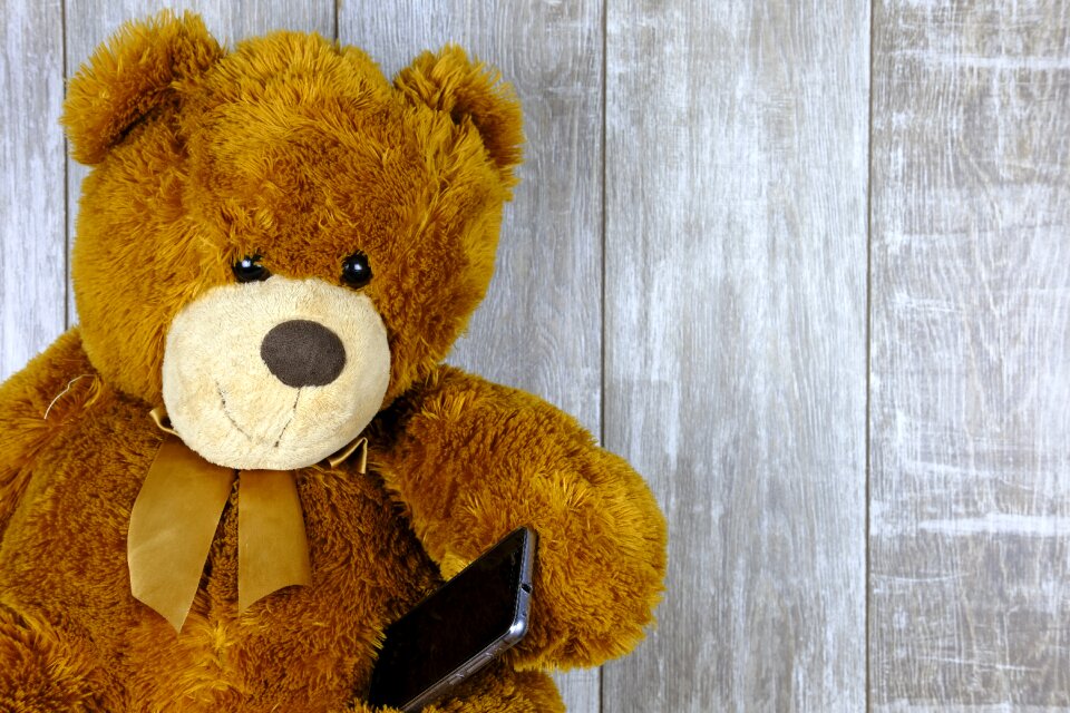 Phone smartphone teddy