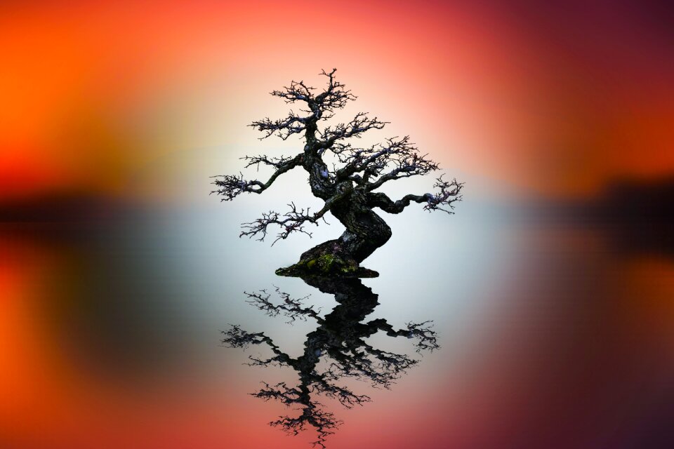 Himmel outdoor silhouette