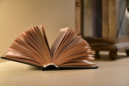 Old books pitched browse
