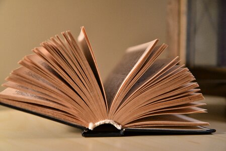 Learn in the evening read library
