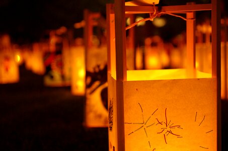 Light night festival