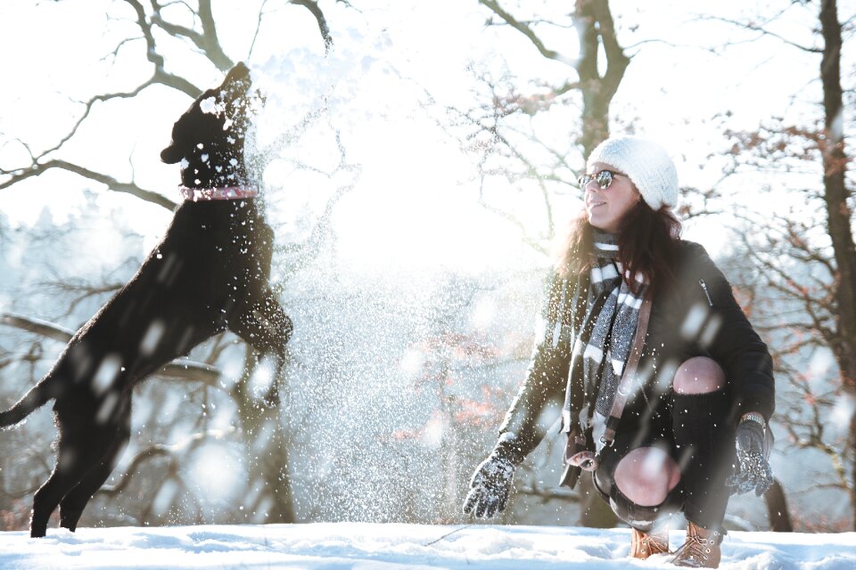 Cold weather ice