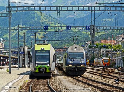 Colorful train transport freight train