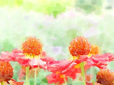 Art flower background