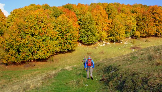 Walking with sticks mountain the european path