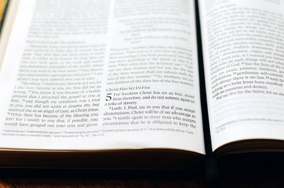 Book bible scripture